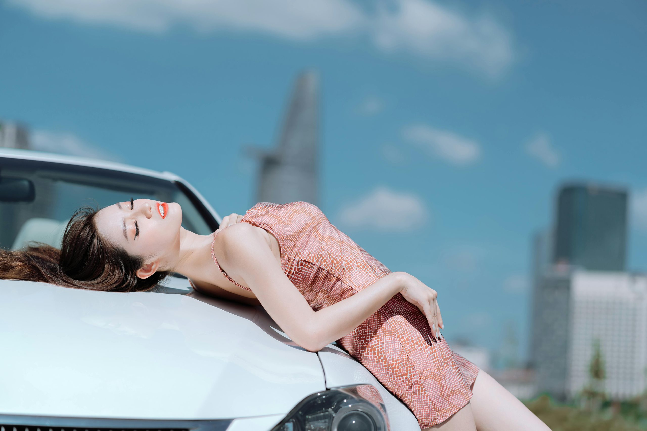 Examining the Rise of Subscription Models for Vehicle Access