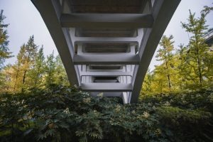 The Engineering Marvels Found Beneath the Hood of Supercars