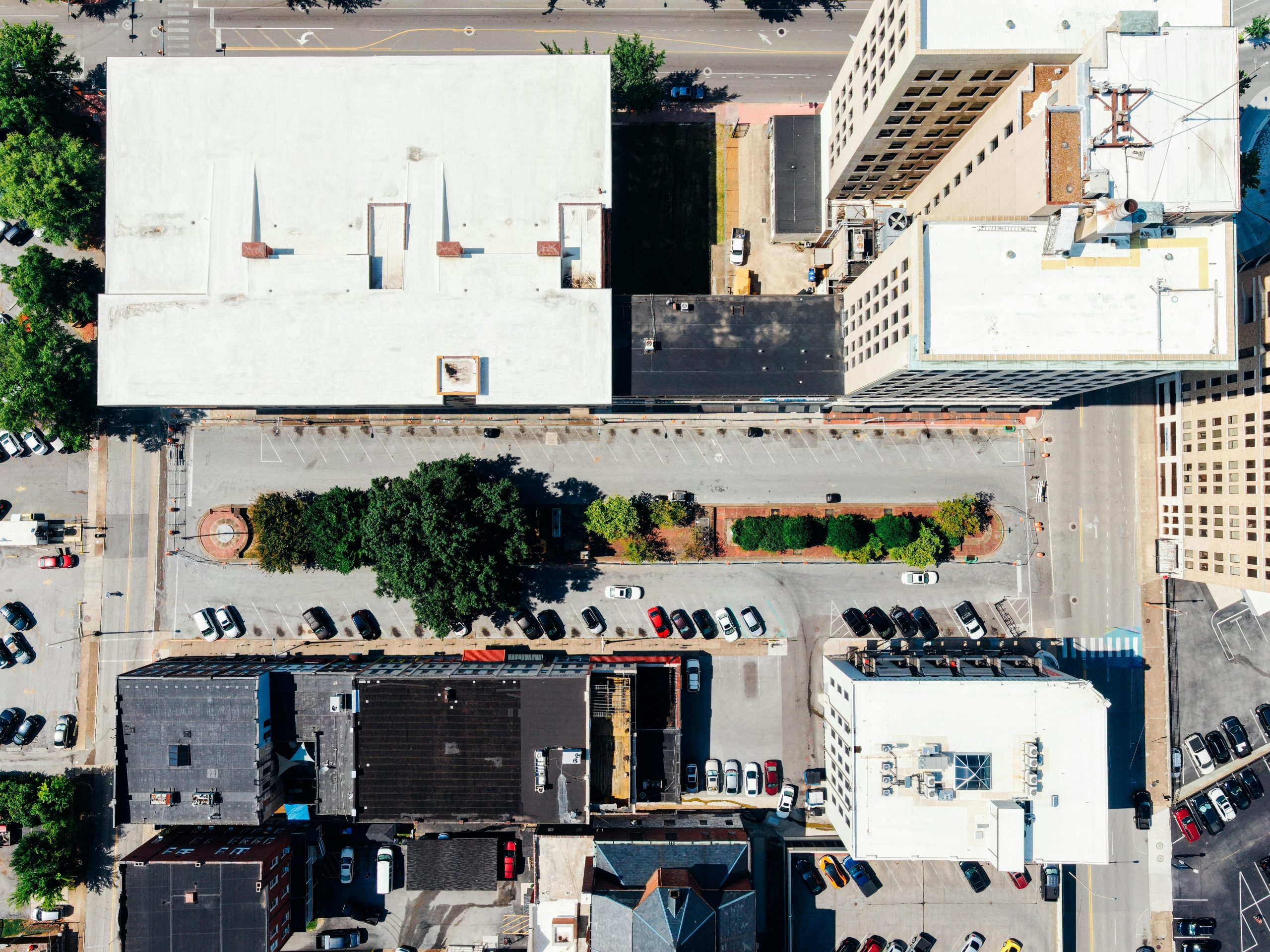 Navigating the Complexities of Importing Vehicles from Overseas