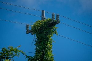 Investigating the Benefits and Drawbacks of Turbocharging Technology