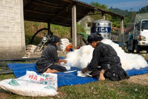 The Environmental Impact of Vehicle Production and Disposal Processes