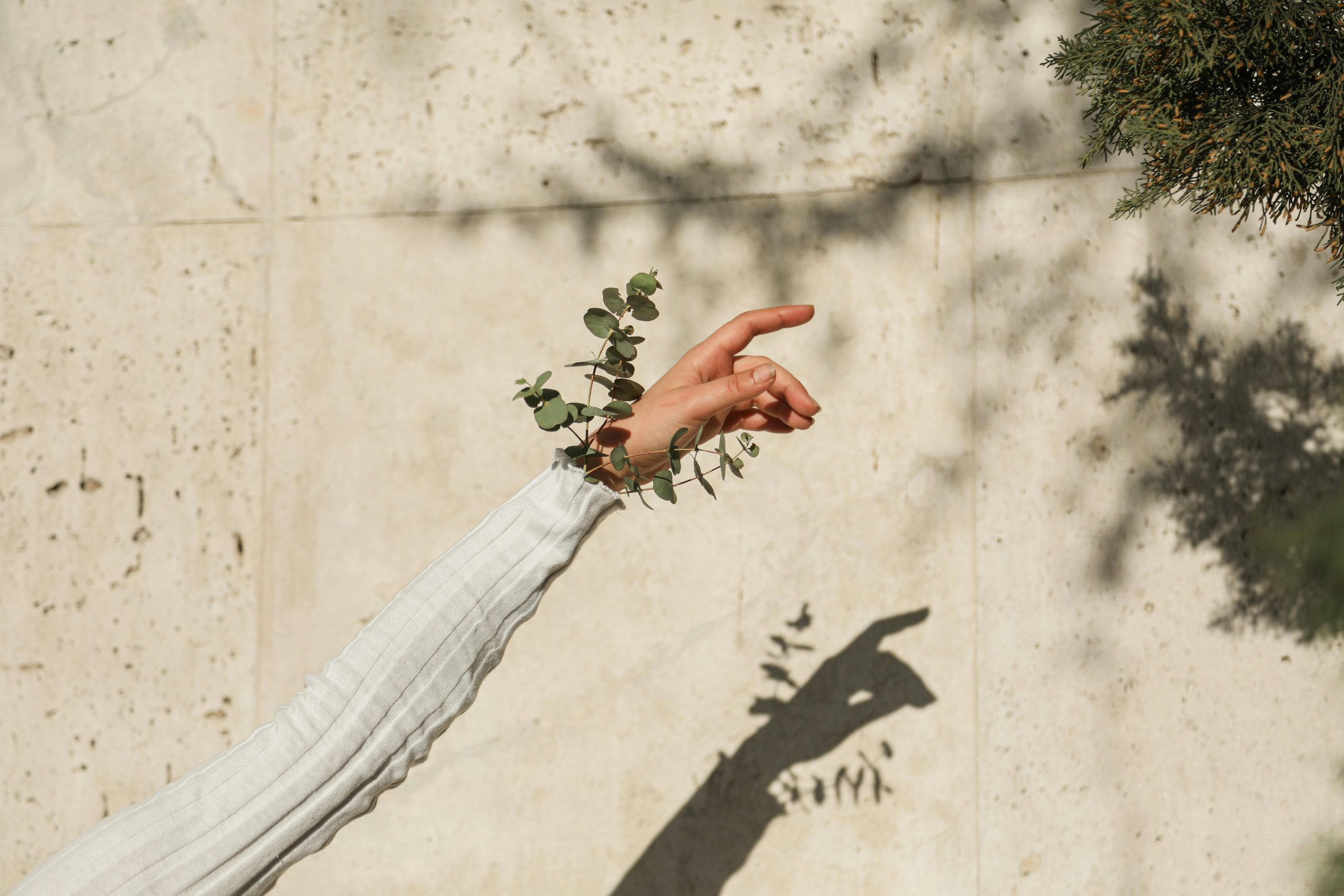 A complete guide to ethical and sustainable fashion brands